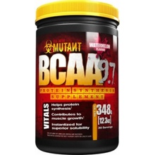 PVL Mutant BCAA 9.7 1044 g