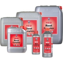 HESI Root Complex 1L