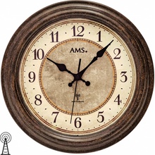 AMS 5544