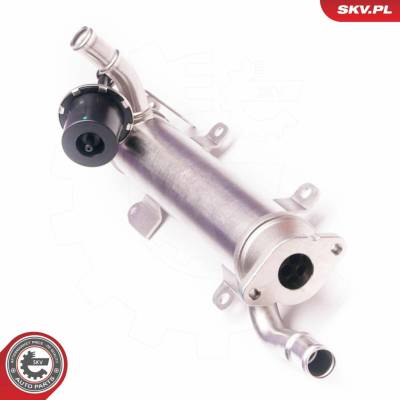 AGR - Ventil ESEN SKV 14SKV123