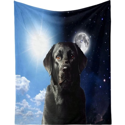Excellent Mikroplyšová hřejivá Labrador/Den a noc deka 150x200