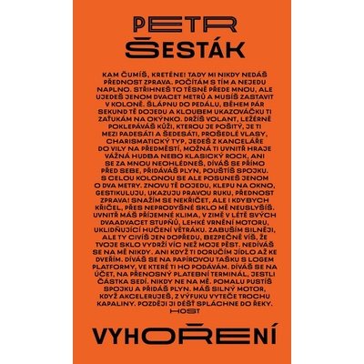 Vyhoření - Petr Šesták