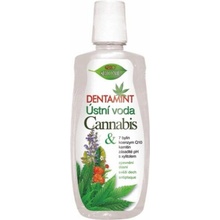 BC Bione Cosmetics Dentamint Cannabis 500 ml