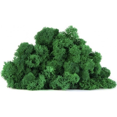 Stabilizovaný mech lišejník 4 kg - trávově zelená