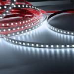 Lightex Led ЛЕНТА 2835 24v dc 9.6w 6000k ip68 (3800883145266)