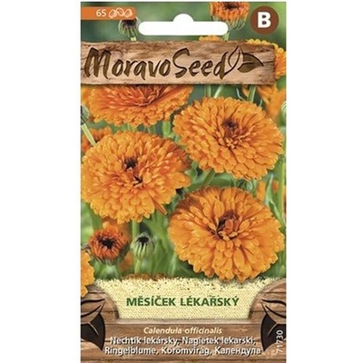 Semínka MoravoSeed Měsíček lékařský 71730