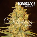 Delicious Seeds Critical Sensi Star Early Version semena neobsahují THC 3 ks