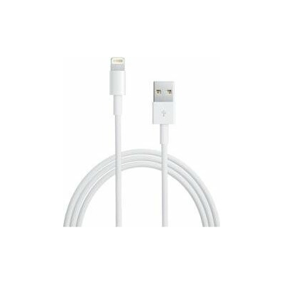 Apple MD818 iPhone 5 Lightning Datový bílý