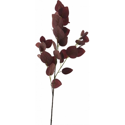 Blahovičník - Eukalyptus Maddy červený (burgundy) 96 cm (N950296)