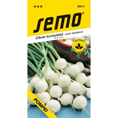 Cibule Pompei jarní lahůdková