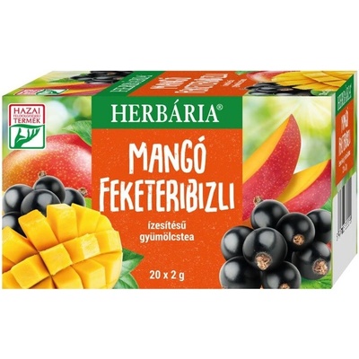 Herbária Ovocný čaj s príchuťou mango a čierne ríbezle 20 ks