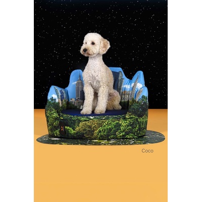 United Pets Легло за домашен любимец United Pets New York x Seletti (SE5102NY)