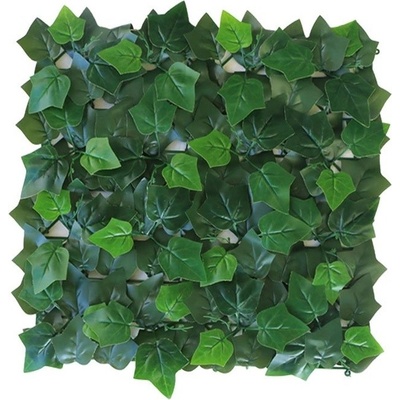 HEDERA ECONOMY, dielec 50 x 50 cm