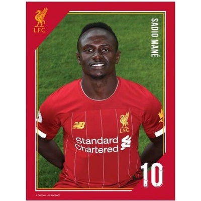 Tlačená fotografia Liverpool 15/20cm Mane