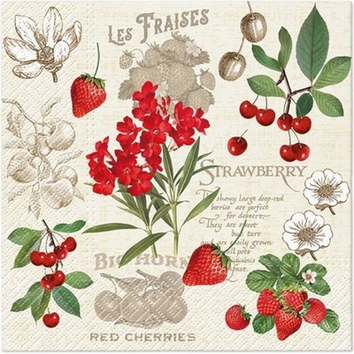 PAW SDL140300 Summer Fruits servítky 3V 20ks 33x33cm
