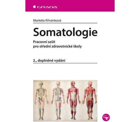 Somatologie