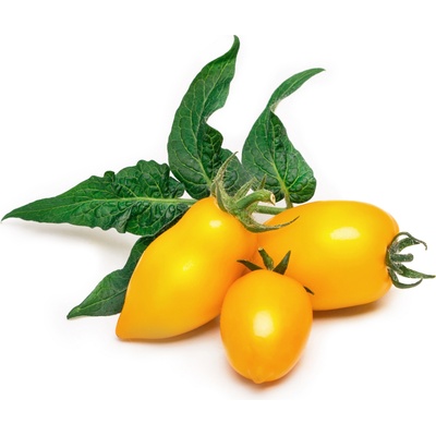 Veritable Вложка за семена Lingot мини зеленчуци коктейлен домат жълта (VLIN-L5-Tom053)