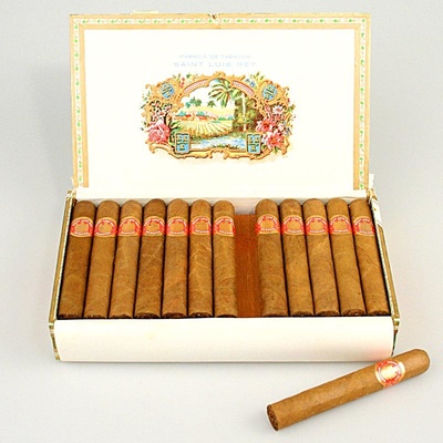 Saint Luis Rey Regios