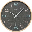 AMS 5513