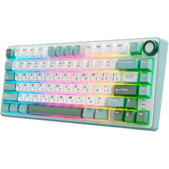 Royal Kludge RK-R75-SKYCYN-KSLVSW-US