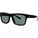 Ray-Ban RB4396 135971