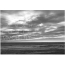 TOMAHAWK - TONIC IMMOBILITY LP