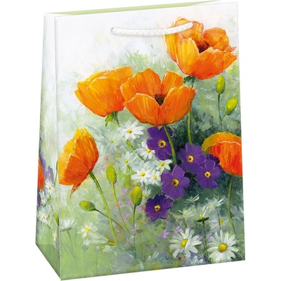 ARGUS Dárková papírová taška (29 x 38 cm) 07870747