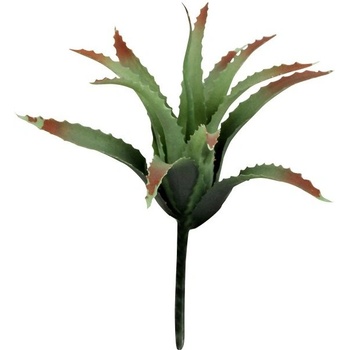 Lucky Reptile Tillandsia 17 cm
