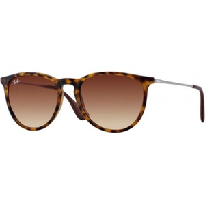 Ray-Ban Erika RB4171 865/13 Слънчеви очила