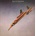 BUDGIE: SQUAWK -HQ- LP
