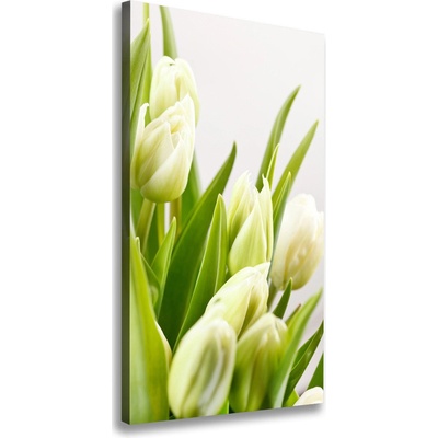 Vertikálny foto obraz na plátne Biele tulipány 50x100 cm