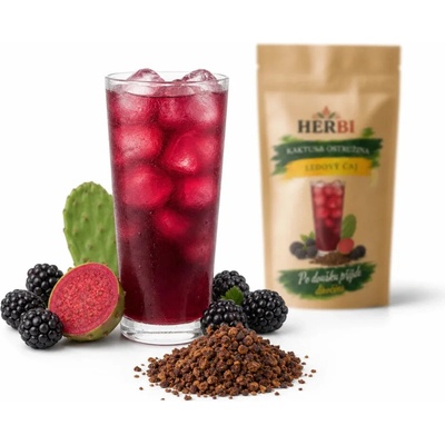 Herbi Kaktus & ostružina ovocný cold brew čaj 1 kg