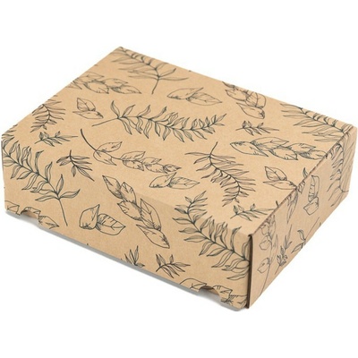 Eobaly.cz Dárková krabice s potiskem listů 245x185x75 mm 25 ks
