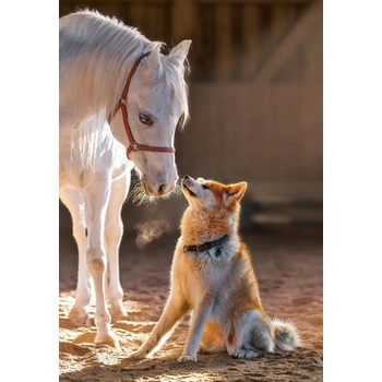 Image 1 of Castorland - Puzzle Unique Friendship - 1 000 piese