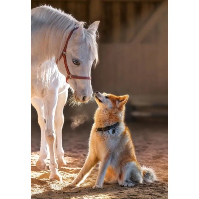 Castorland - Puzzle Unique Friendship - 1 000 piese