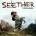 Seether - Disclaimer (Deluxe Edition) (3 LP) (0888072452473)