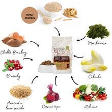 Mixáno hmyzie 10 kg