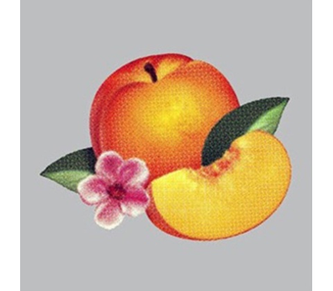Phoenix - Bankrupt!