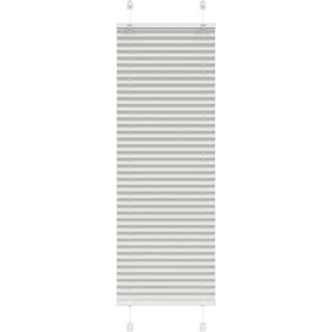 vidaXL Плисирана щора Светло сиво 40x100 cm Ширина на плата 39, 4 cm (4015318)