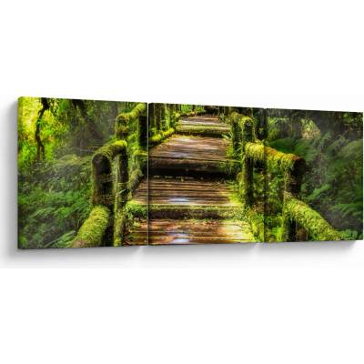 Obraz schodů v deštném pralese, třídílný 150x50 cm