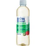 DEVIN Вода с витамини и минерали vitality с ябълка и киви, 425 ml (3032556)