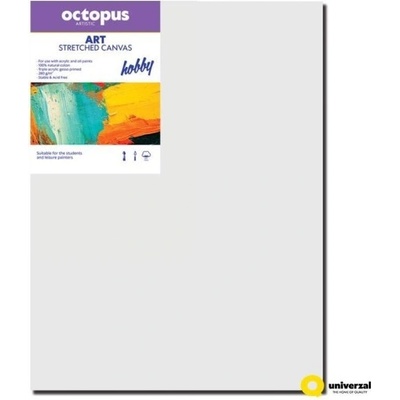 Octopus Hobby malířské plátno 45 x 60 cm 280 g/m2 – Sleviste.cz