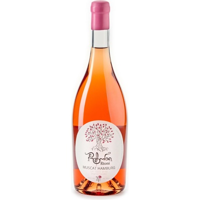 Rtoni Růžové Mushkati Rose 2021 suché 13% 0,75 l (holá láhev)