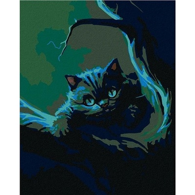 zuty Malování podle čísel Noční kočky 80 x 100 cm vypnuté plátno na rám