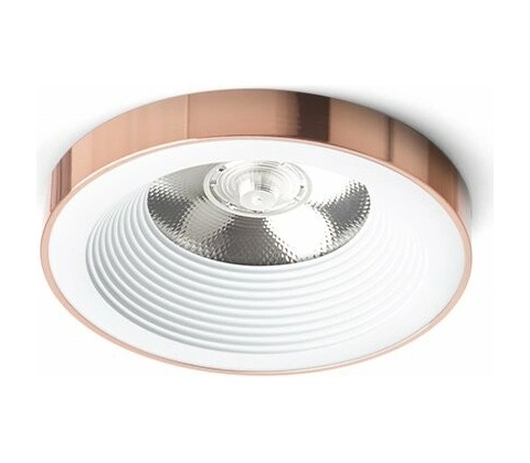Rendl R14562