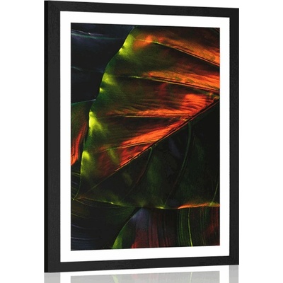 Plakát s paspartou tropické palmové listy - 30x45 black