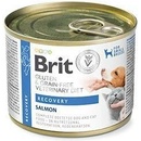 Brit VD Dog+Cat GF Recovery 200 g