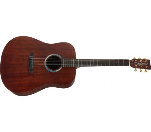 Tanglewood TE5BL