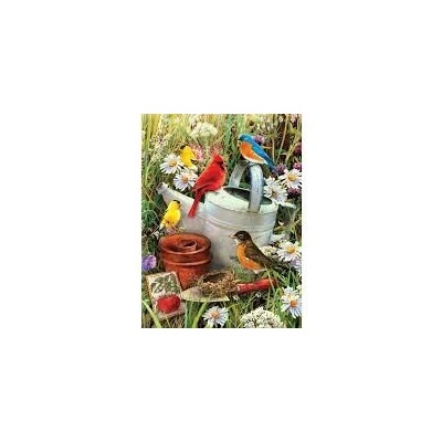 Royal Langnickel malování podle čísel ptáčci a konev 22 x 30 cm karton