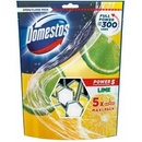 Domestos Power 5 tuhý WC blok Lime 5 x 55 g